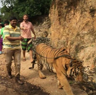 Bheem Rajesh Profile