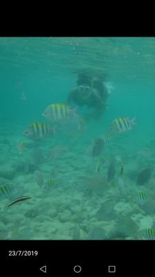 marazul2217's profile picture. 