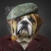 The Cotswolds Gentleman (@cotswoldsgent) Twitter profile photo The Cotswolds Gentleman (@cotswoldsgent) Twitter profile photo