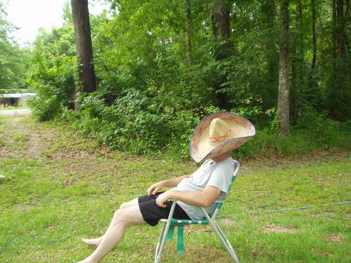 Rhynedahll's profile picture. Fantasy Author, farmer, layabout