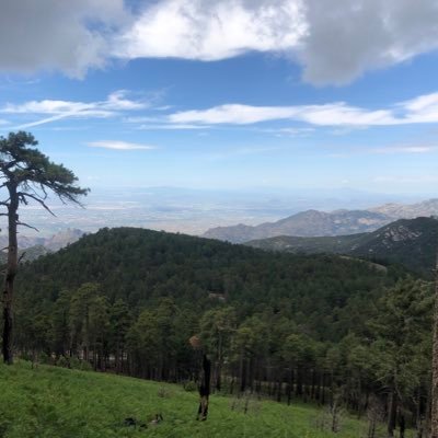 jsserrano's profile picture. 