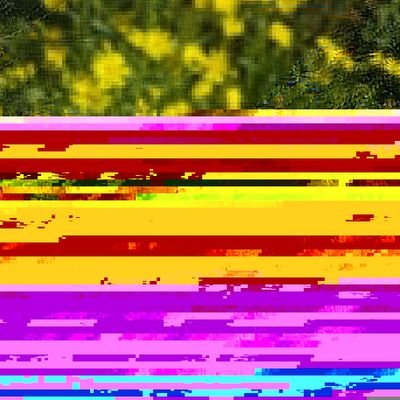 lohjianhui's profile picture. Creative technologist