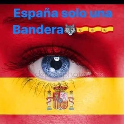 MatiasCorreaFe2's profile picture. 