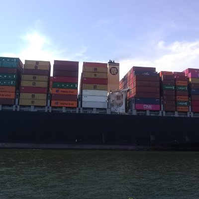 JoseFlo44860233's profile picture. 