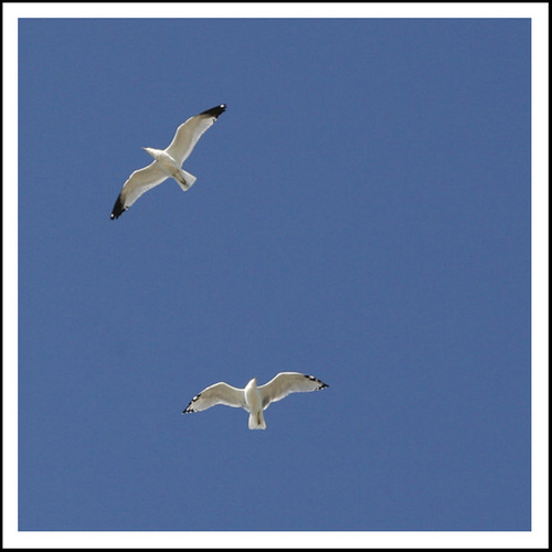 theLilyBranch's profile picture. 