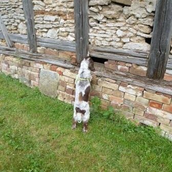 GermanGenGirl's profile picture. Traveler through Time.
All views expressed on this site are my own and do not represent the opinions of any entity whatsoever.