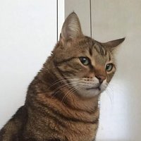 Röpteşambır (@rpteambr3) 's Twitter Profile