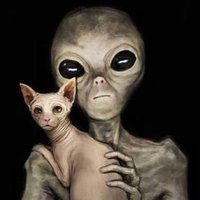 TheUFOHunter(@TheUFOHunter1) 's Twitter Profile Photo