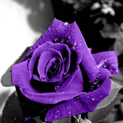 SessPGEN's profile picture. God will make a way, when there seems to be no way. Like a rainbow, Jesus colors my life❤️