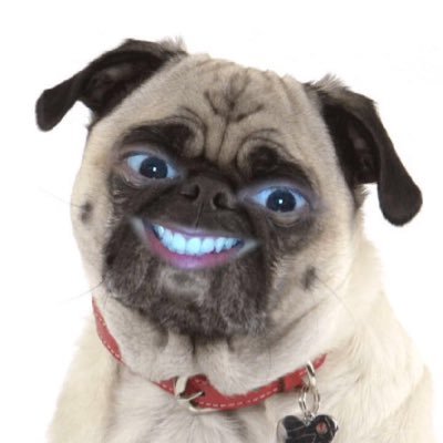 mordrenraven's profile picture. my very random tweets