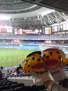 阪神タイガースを全力で応援しています！