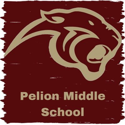 The official Twitter account for Pelion Middle School.