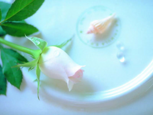 marialogan168's profile picture. 