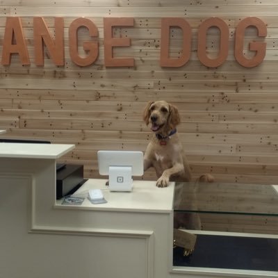 Orange Dog Co. Located Next To Parkers. Hours are as follows: Sunday&Monday Closed Tue-Fri: 3-7 PM Sat: 10AM - 2 PM Come Check Us Out!