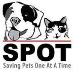 SPOT is an all-volunteer group in San Diego, Ca dedicating our time to saving animals from SD shelters. Click on our link, like us on FB!