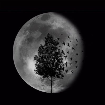 Official Twitter for YOAKE🕸 DAYBREAK!| Ran By @CutthroatVale and @SixteyRuffles| ALL MEMBERS FOLLOWED