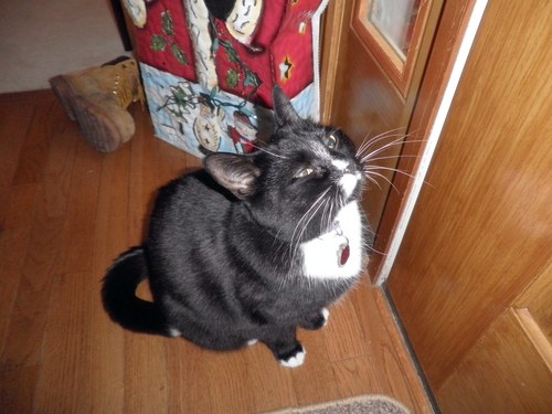 texmorning's profile picture. Native Texan living in Ohio & dreaming of the day she will be moving back to Texas.