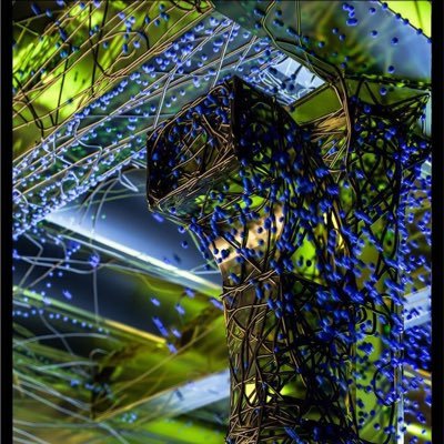 silence0ne1's profile picture. 