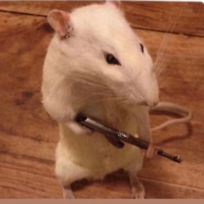 lilahvillegas13's profile picture. 