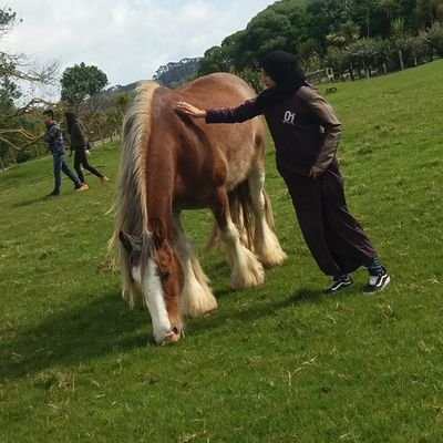 لا تتَخلّى أبداً عنِ الأشياءِ الّتي جعَلْتك تبْتسِم 💕
🇿🇦 🇳🇿