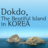dokdoracer's profile image