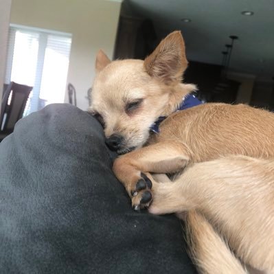 leisamikes's profile picture. 