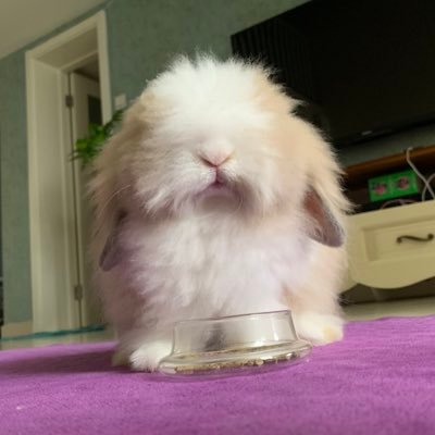 celia42924766's profile picture. 