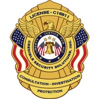 @crediblesecurity(@CSS1_TX) 's Twitter Profile Photo