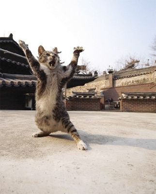 SeniorTjuino's profile picture. solo dibujo por diversión, en búsqueda de chamba dibujos NSFW no menores 🔞