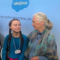 Sister Mickey of the Srs of Bernard (@mickey94114) 's Twitter Profile Photo