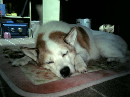 itumoyama's profile picture. 車とか音楽とか好きです、
よろしく！！！