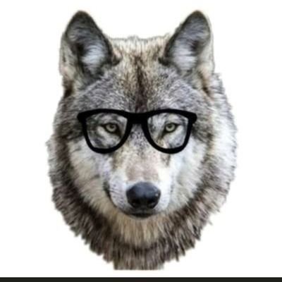 TheDopeDay1's profile picture. New Account Of Thedopeday🐂 Original account suspended by Twitter,
fan of @tejasvi_surya @avasthiaditi
Hindu Rashtra Nirmaan..!!!!