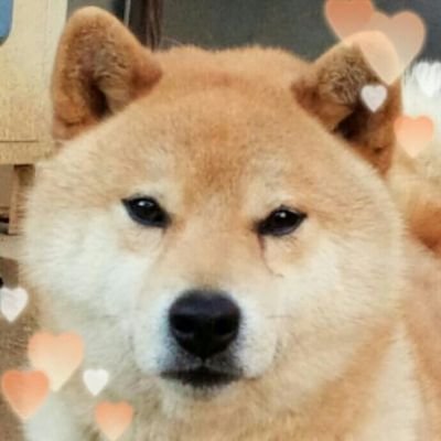 4488So27's profile picture. 