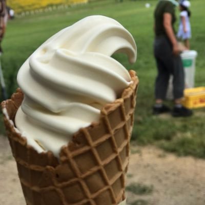 yy86518's profile picture. 