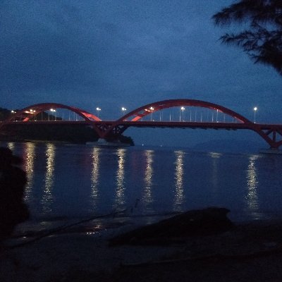 VManiani's profile picture. musik