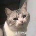 乱码人 (@wuhuguoguo) Twitter profile photo 乱码人 (@wuhuguoguo) Twitter profile photo
