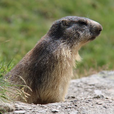 tibilou17's profile picture. Heureuse de vivre en Charente-Maritime 🥰... La famille avant tout !!! ‍ @tibilou17.bsky.social