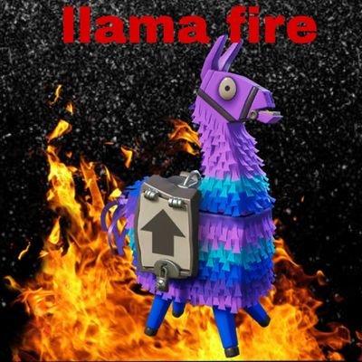 Je fais des vidéos sur YouTube le lien et sur mon profil et j'ai un Instagram @llama_fire_ytb