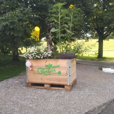 SSchwenningen's profile picture. 