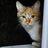 null_mat's profile image