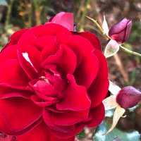 A-------ayk. (@aj02170608) 's Twitter Profile