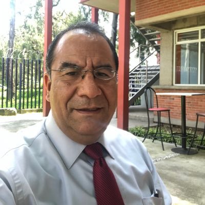 Research Professor at the Institute of Chemistry, UNAM (Mexico).
