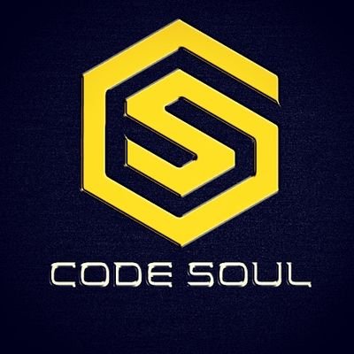 CodeSoul19's profile picture. 