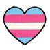 Good Trans News (@GoodTransNews) Twitter profile photo