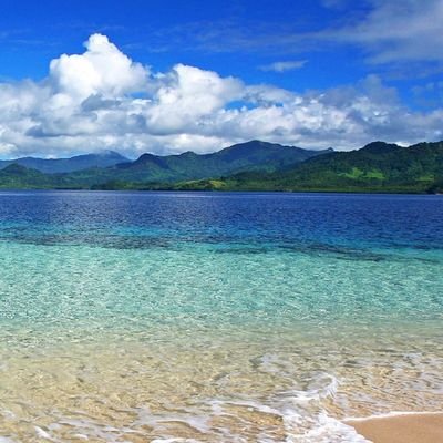 leslyvera1021's profile picture. 🐴