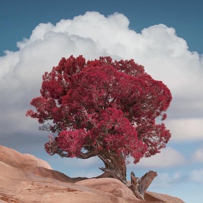 csmetix's profile picture. ส่งต่อสกินแคร์ เครื่องสำอางค์ แชมพู สำหรับผิวแพ้ง่าย ผิวมัน เป็นสิว & เซบเดิร์ม 🌙 ซื้อเอง ใช้เองแต่ไปต่อไม่ได้ค่า