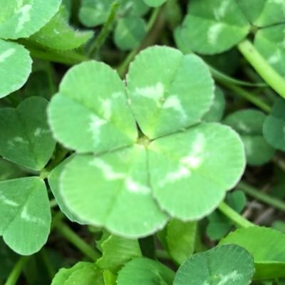 TU_TUTU24's profile picture. 剛くんの音楽に引き込まれました。 人としての魅力と音を奏でるアーティストとして多才な剛くんを応援。.ENDRECHERI.💜とKinKiKidsが好き。 只今こちら→(@RT51716041)でRT応援中ヽ(｡・∀︎・｡)