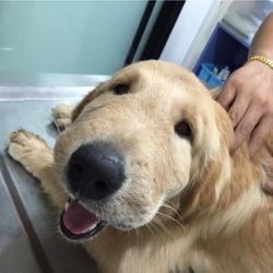 p1HWIVo0TiiyAvL's profile picture. 請大家愛護北極熊喔!!!