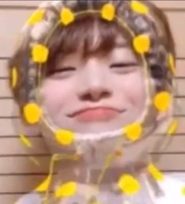 hihig426's profile picture. 총공 총공계에서 함