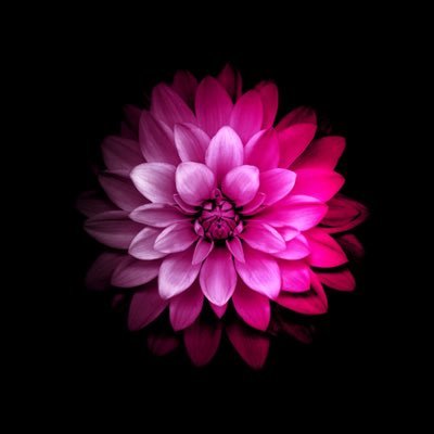 air_fofo's profile picture. People who are crazy enough to think they can change the world are the ones who do.